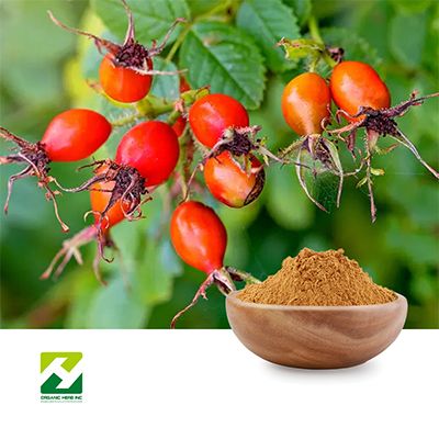 Rosehip Extract 5%Vitamin C HPLC by Organic Herb Inc