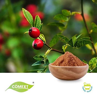 Rosehip Fruit Extract 10:1 by Comext