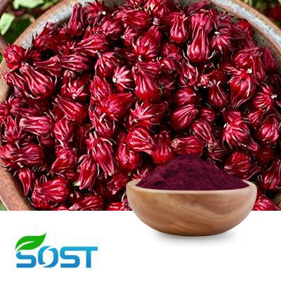Roselle Extract 10:1 by SOST