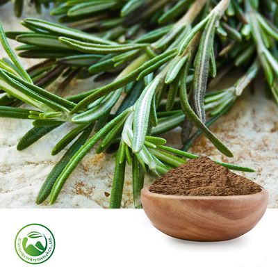 Rosemary Extract 10:1 by Xi'an Herbs Valley
