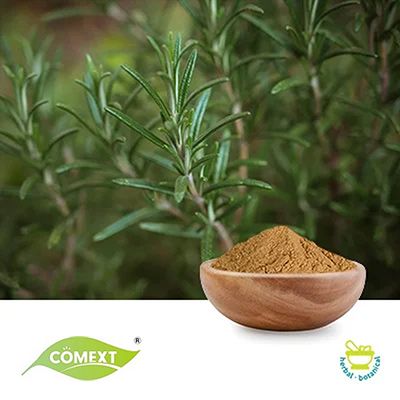 Rosemary Extract 5% Rosmarinic Acid by Comext