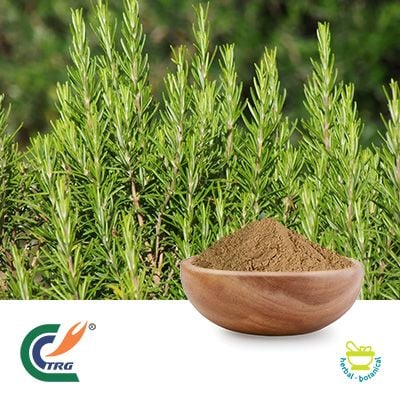 Rosemary Extract 10:1 by Hanzhong TRG