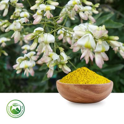 Rutin (NF11)  by Xi'an Herbs Valley