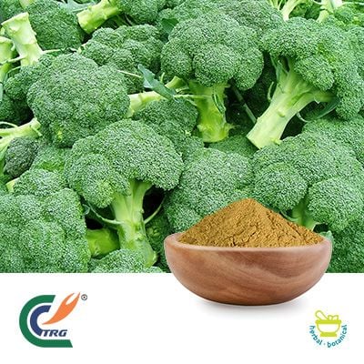 Broccoli Extract 4:1 by Hanzhong TRG