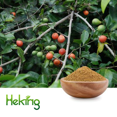 Salacia Oblonga Extract  20:1 by Heking