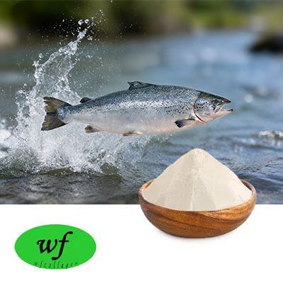 SALMON MILT EXTRACT POWDER （PDRN  Food Grade） by WF Collagen