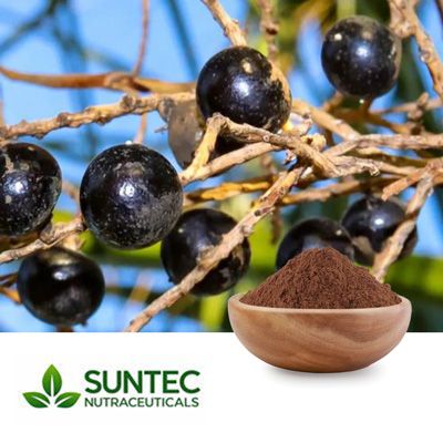 Saw Palmetto Berry Extract 10:1 by Suntec Nutraceuticals