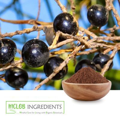 Saw Palmetto Berry powder by Mclob America LLC