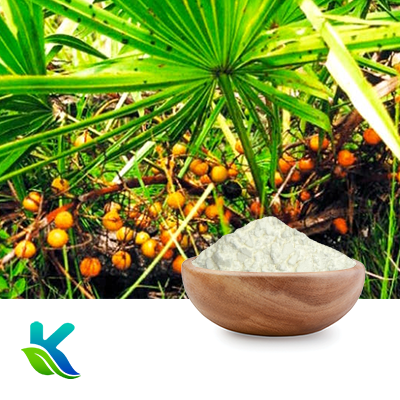 Saw Palmetto Extract 25% Fatty Acid by Hunan Naturext