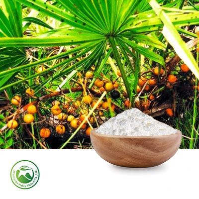 Saw Palmetto Extract 45% Fatty Acids by Xi'an Herbs Valley