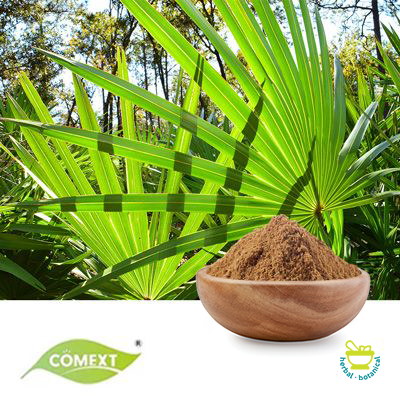 Organic Saw Palmetto Powder by Comext