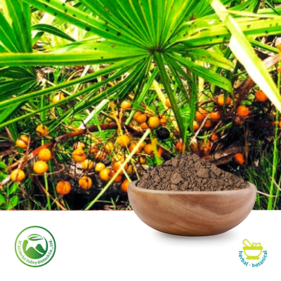 Saw Palmetto Powder by Xi'an Herbs Valley