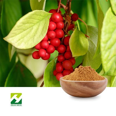 Schisandra Chinensis Extract 10:1 by Organic Herb Inc