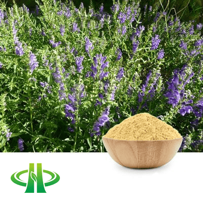 Scutellaria Baicalensis Extract 4:1 by Shandong Zhongmin