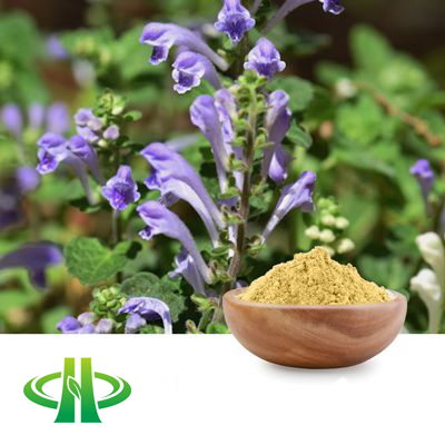 Scutellaria Baicalensis Extract 30% Baicalin HPLC by Shandong Zhongmin