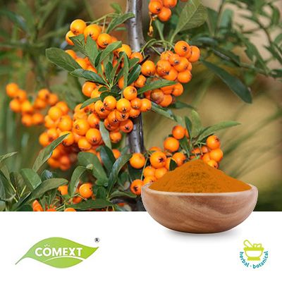 Seabuckthorn Fruit Extract 10:1 by Comext
