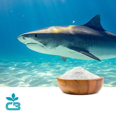 Shark Cartilage Powder by Cactus Botanics Limited