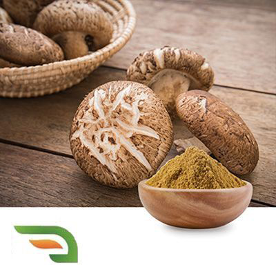 Shiitake Mushroom Extract 30% Polysaccharides by Joywin