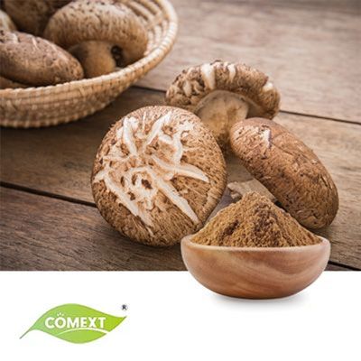 Shiitake Mushroom Powder by Comext