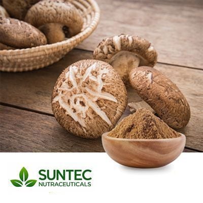 Shiitake Mushroom Powder by Suntec Nutraceuticals