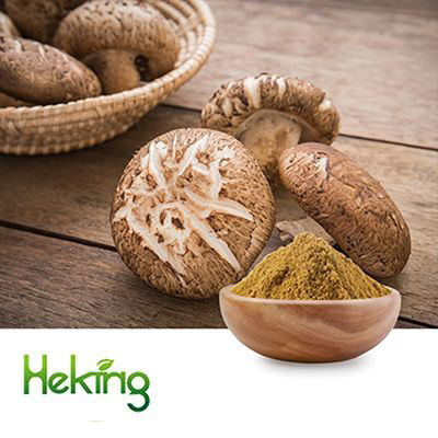 Shiitake Mushroom Extract 10:1 by Heking
