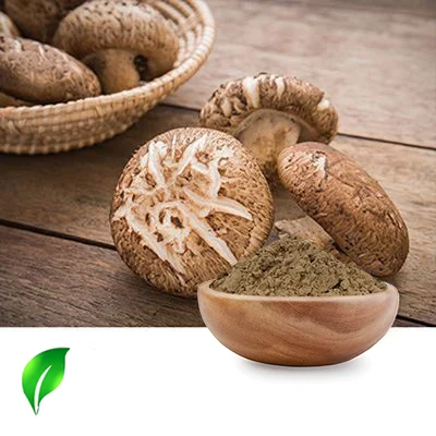 Shiitake Mushroom Powder by Changsha Sunnycare