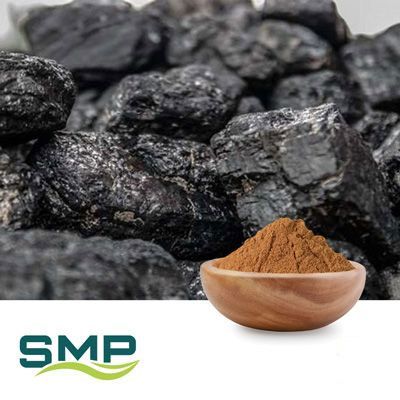 Shilajit Extract 10-1 (Asphaltum Punjabinum) by SMP