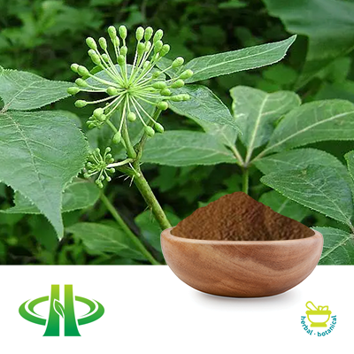Siberian Ginseng Extract 0.8% Eleutheroside by HPLC by Shandong Zhongmin