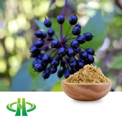 Siberian Ginseng Extract 5:1 by Shandong Zhongmin