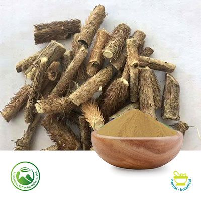 Siberian Ginseng Powder by Xi'an Herbs Valley