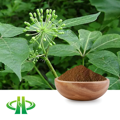 Siberian Ginseng Extract 0.8% Eleutheroside by HPLC by Shandong Zhongmin