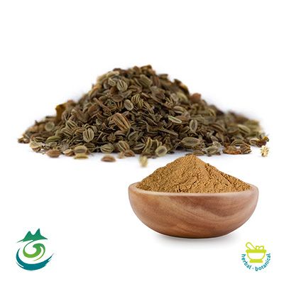 Snowparsley Extract 10:1 powder by Shaanxi Baichuan Kangze
