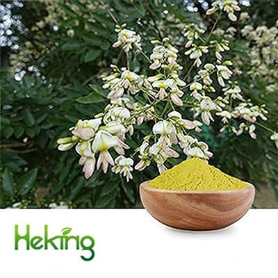 Sophora Japonica Extract 95%Quercetin (powder) by Heking