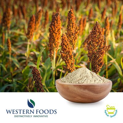 Sorghum Fine Flour by Western Foods