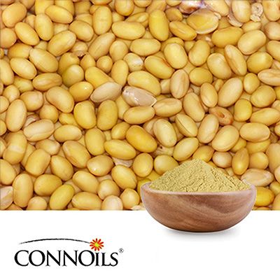 Soy Lecithin 100G2C (with TCP) by Connoils