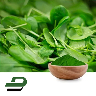 Spinach Powder by Xinghua Dongbao