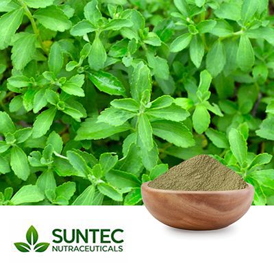 Stevia Leaf Powder by Suntec Nutraceuticals