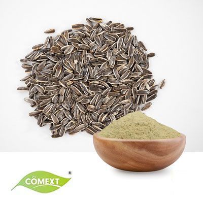 Sunflower Seed Protein 50% Powder by Comext