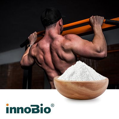 Sustained Release BCAA 2:1:1 (Vegan) by innoBio