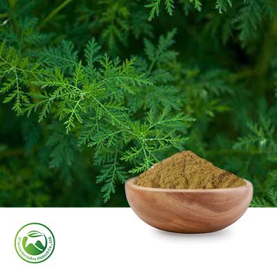 Sweet Wormwood Extract 10:1 by Xi'an Herbs Valley