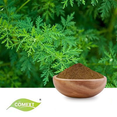 Sweet Wormwood Extract 10:1  by Comext