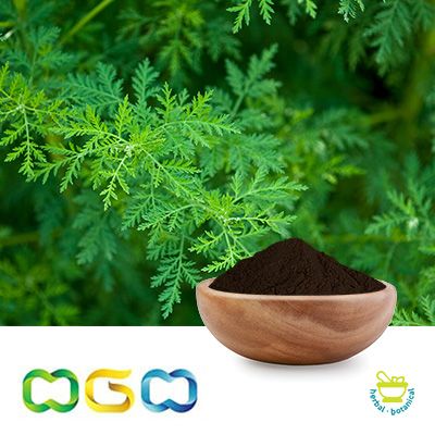 Sweet Wormwood Powder by Herb Green Health