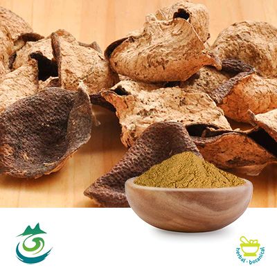 Tangerine Peel Extract 10:1 powder by Shaanxi Baichuan Kangze