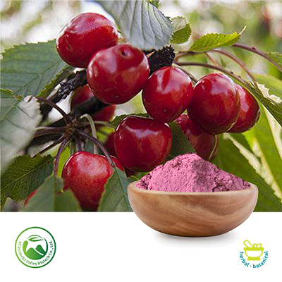 Tart Cherry Extract 10:1 by Xi'an Herbs Valley