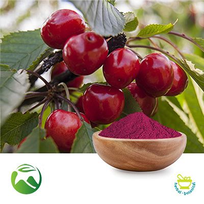 Tart Cherry Extract 10:1 by Xi'an Herbs Valley