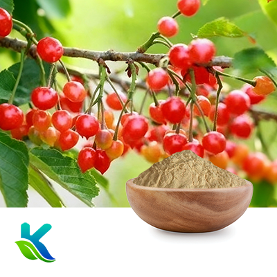 Tart Cherry Extract 17% VC by Hunan Naturext