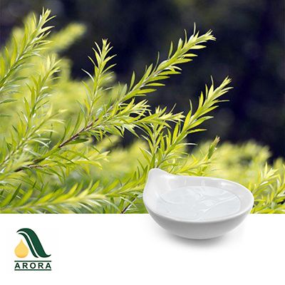 Tea Tree Oil by Arora Aromatics