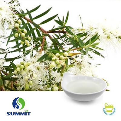 Tea Tree Oil Chinese Common Grade by Summit Biotechnology (Xiamen) Ltd