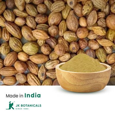 Terminalia Chebula Powder Steam Treated by JK Botanicals