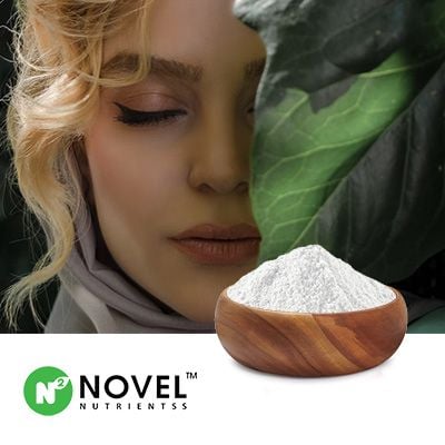 Thiamine Mononitrate (Vitamin B1) by Novel Nutrientss